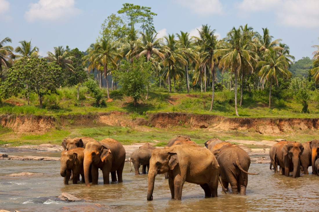 Easter Holiday in Sri Lanka - 7 Days - 6 Nights, Colombo, SRI LANKA