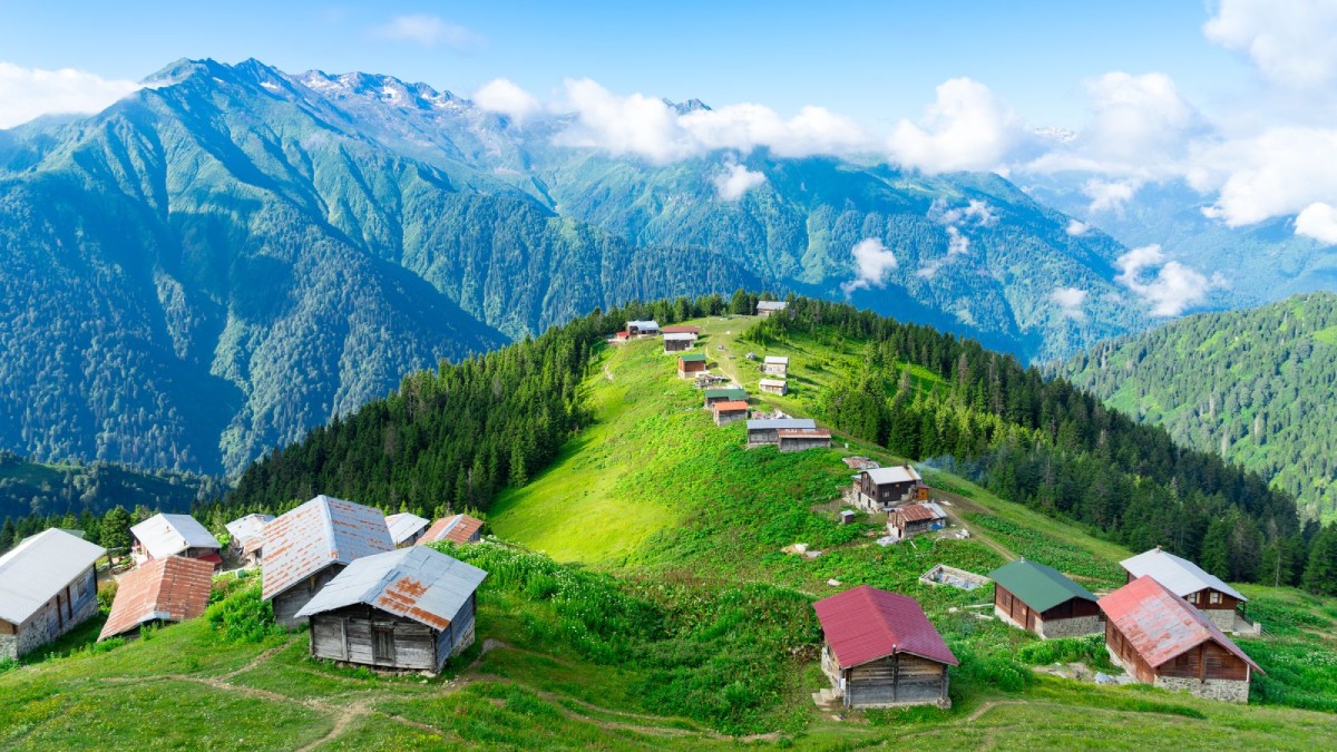 JUNE SAMPLE 2026 - TRABZON 